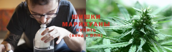 соль ск Дмитриев