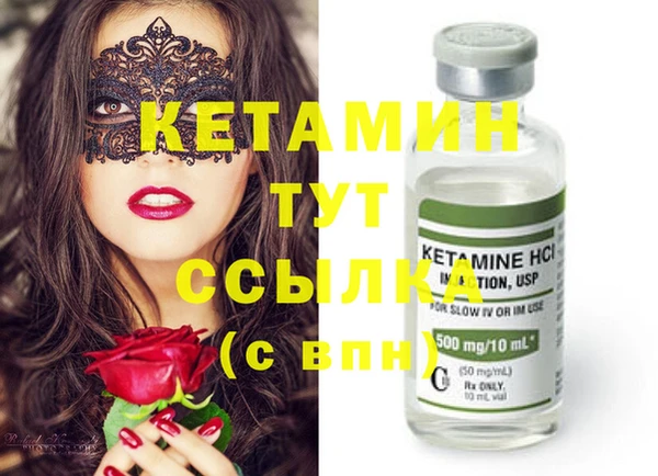 индика Сясьстрой