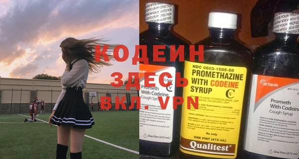 соль ск Дмитриев