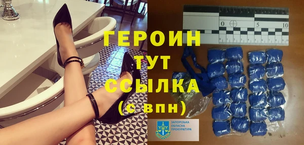 соль ск Дмитриев