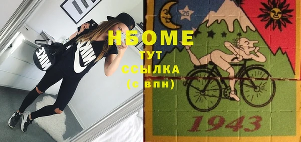 соль ск Дмитриев