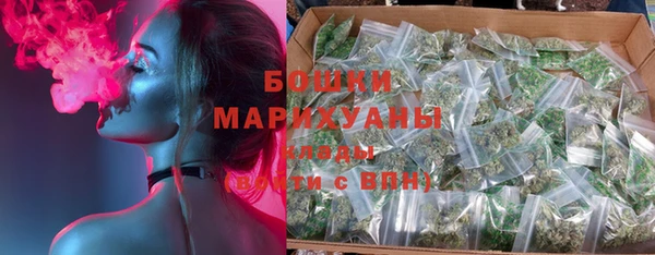 индика Сясьстрой