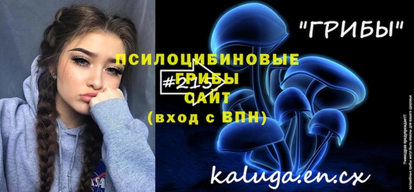 винт Дмитров