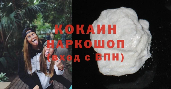 соль ск Дмитриев