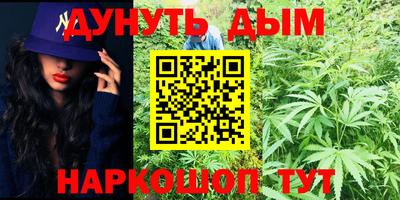 стаф Малгобек